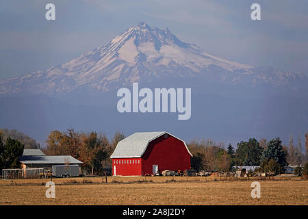 A bright red barn on a ranch beneath the slopes of Mount Jefferson, the second highest peak in Oregon, in central Oregon near the town of Madras. Stock Photo