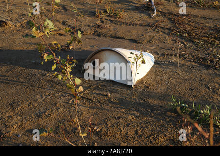 55 gallon plastic drum buried in the river bank. Old oil drum dumped. Stock Photo