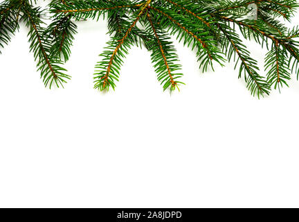 Border fir branches isolated on white background above Stock Photo