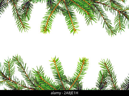 Border fir branches isolated on white background Stock Photo