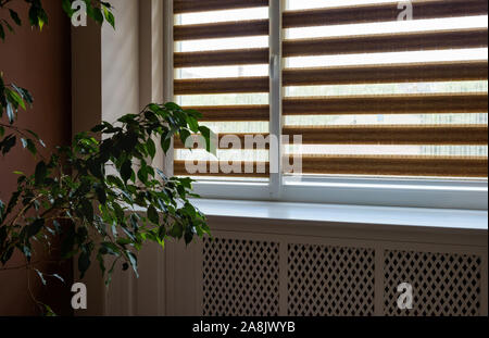 Day and Night roller blinds for windows. Stock Photo