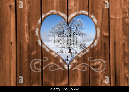 Looking through a carved heart in a wooden wall to an single tree with hoarfrost Stock Photo