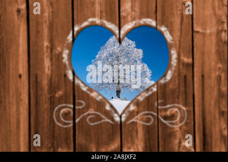 Looking through a carved heart in a wooden wall to an single tree with hoarfrost Stock Photo