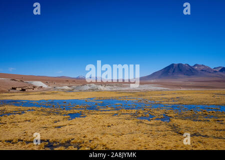 Putana River at an Andean landscape of the Chilean High Plains in Northern Chile Stock Photo