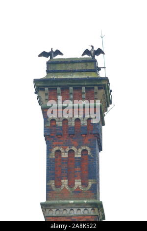 A pair of cormorants (Phalacrocorax carbo)pearched on the top of a chimney in their known pose to dry their feathers Stock Photo