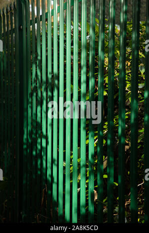 Green metal boundary fence with light and dark patterns caused by the sun on a day in November. Stock Photo