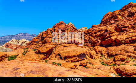 The Red and Yellow Sandstone Cliffs along the Calico Hiking Trail in Red Rock Canyon National Conservation Area near Las Vegas, Nevada, United States Stock Photo