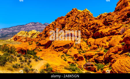 The Red and Yellow Sandstone Cliffs along the Calico Hiking Trail in Red Rock Canyon National Conservation Area near Las Vegas, Nevada, United States Stock Photo