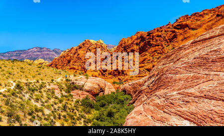 view of the Red and White layered and Bright Red Sandstone Mountains on the Trail to the Guardian Angel Peak in Red Rock Canyon National Conservation Stock Photo