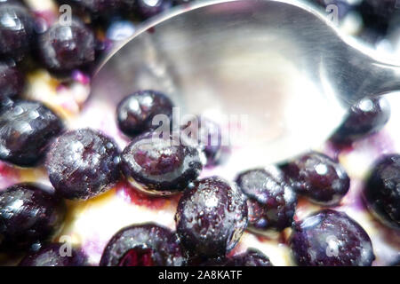 Close up photograph of blueberries on oatmeal poridge cereal with spoon.  Healthy breakfast meal concept. Stock Photo