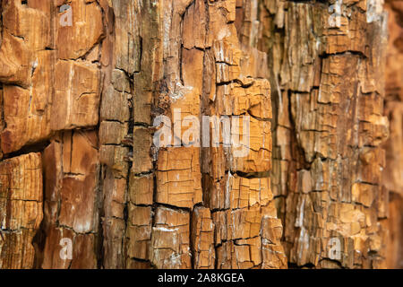 Closeup of Cracked Wood Pattern Stock Photo