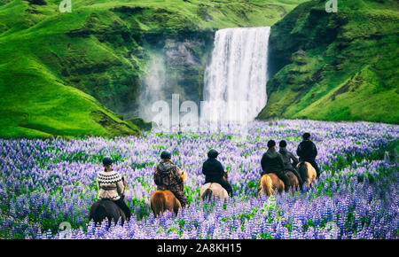 Tourists ride horses at the majestic Skogafoss Waterfall in countryside of Iceland in summer. Skogafoss waterfall is top famous natural landmark and t Stock Photo