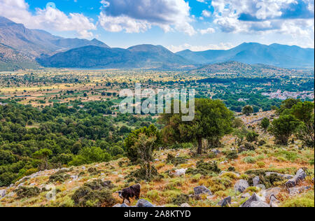 View of the Lassithi Plateau on the island of Crete, Greece Stock Photo
