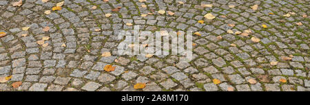 fallen leaves on sidewalk in autumn, laid out in circular pattern with sett stones