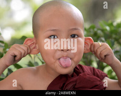 Little Burmese Buddhist boy monk makes grimaces, sticks his tongue out and pulls on his ears. Stock Photo