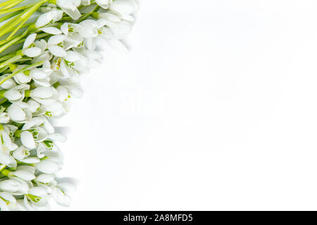 delicate snowdrops on white background with copy space Stock Photo