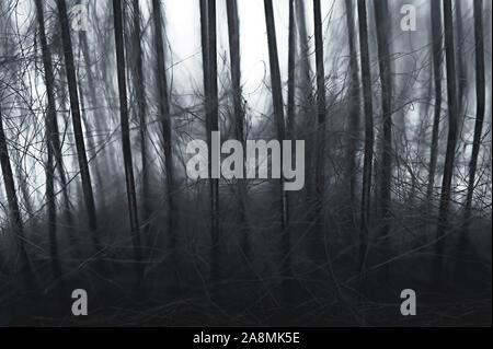 Closeup of Soft Slicker Brush Steel Needles and Pet Hair Collected during Grooming Session. Dark Scary Forest Allegory. Stock Photo
