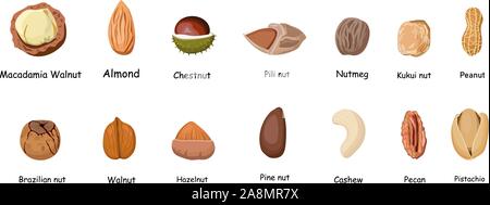 Set of different cartoon nuts vector illustration isolated on white background. Kawaii peanuts, hazelnuts, walnuts, Brazil nuts, pistachios, cashews Stock Vector
