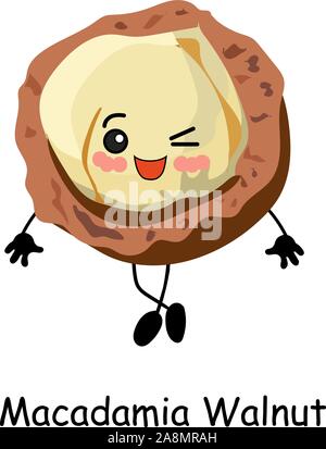 Cute macadamia nut cartoon. Vector illustration isolated on white background.. Stock Vector