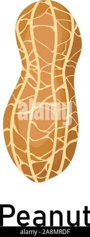 Peanuts. Vector illustration isolated on white background. Useful vegan food. Nuts are good. Stock Vector