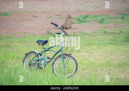 Green bicycle parked on the lawn. Stock Photo