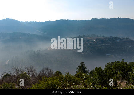 olives olive trees in the mountains of Jerusalem. Jerusalem forest. Stock Photo