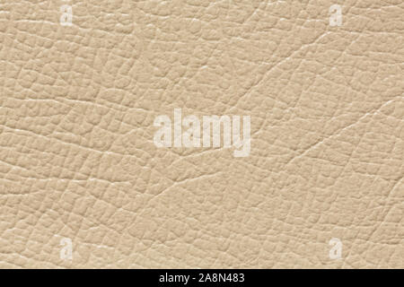 Masterly leather background in perfective light colour. Stock Photo
