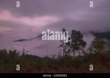 Mountains sticking out of a sea of clouds, Bellavista Cloud Forest Reserve, Mindo, Ecuador Stock Photo