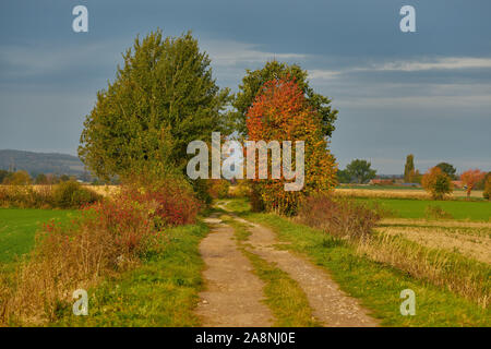 Dirt road in the autumn fields Colorful quiet autumn landscape Stock Photo