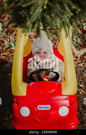 Little boy bringing Christmas tree home on top of a toy car Stock Photo