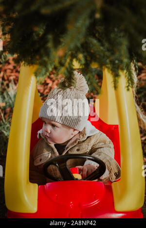 Little boy bringing Christmas tree home on top of a toy car Stock Photo