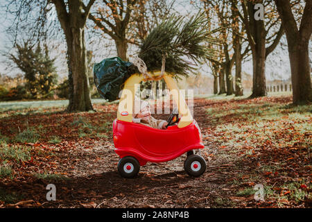 Little boy bringing Christmas tree home on top of a toy car Stock Photo