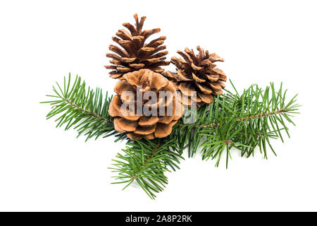 Christmas decoration pine cone bauble and fir tree branches on white background Stock Photo