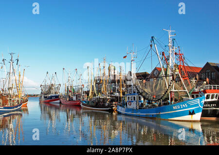Fischerboote im Hafen von Neuharlingersiel, Fischkutter, Krabbenkutter, Stock Photo