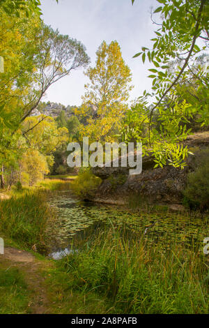 River Lobos. Cañon del Rio Lobos Natural Park, Soria province, Castilla Leon, Spain. Stock Photo