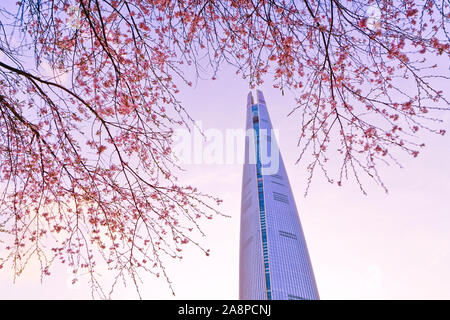 View of the cherry blossoms in spring with the skyscraper in the background in Seoul, South Korea. Stock Photo