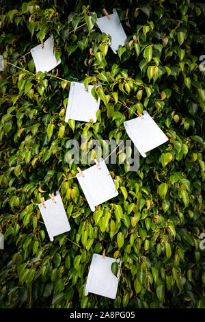 Blank sheets of paper Stock Photo