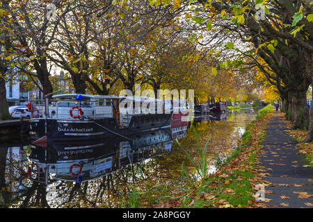 Autumn, Grand Canal Dublin Ireland. Canal barges, colorful trees and leaves on towpath / pedestrian walkway. Reflections in water. November season Stock Photo