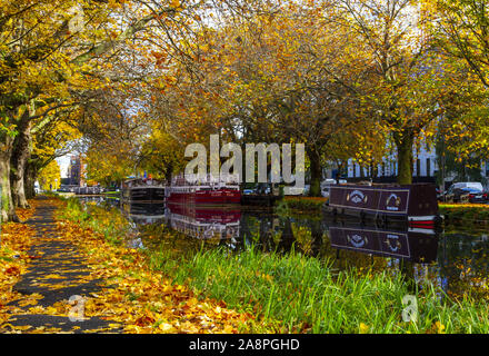 Canal barges on Grand Canal Dublin Ireland during Autumn / Fall. Colorful trees and leaves on towpath / pedestrian walkway. Reflections in water. Stock Photo