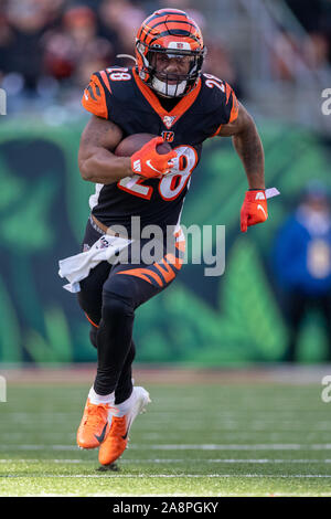 CINCINNATI, OH - NOVEMBER 28: Cincinnati Bengals linebacker Clay Johnston ( 44) before the game