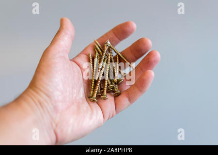 A man holds screws in his hand on a gray background. Repair and maintenance concept. Stock Photo