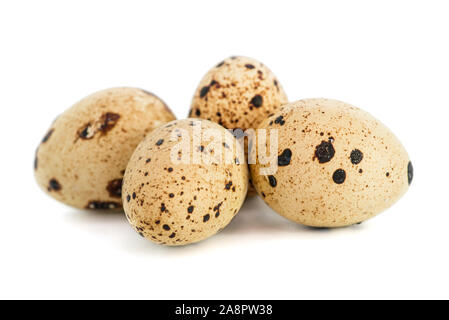 Quail eggs isolated on white background. Eggs quail spotted small on white background. Stock Photo