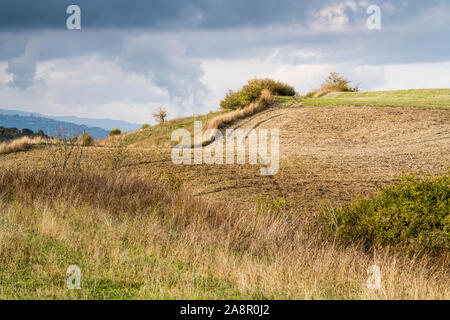 Landscape of the Maremma, Tuscany, Italy, Europe. Stock Photo