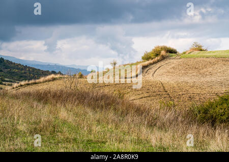 Landscape of the Maremma, Tuscany, Italy, Europe. Stock Photo