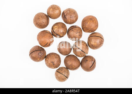 top view of Macadamia nuts scattered isolated on white Stock Photo
