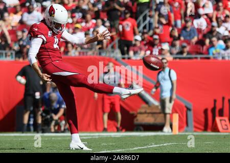 Tampa, Florida, USA. 10th Nov, 2019. Arizona Cardinals punter Andy Lee (4) punts the ball during the NFL game between the Arizona Cardinals and the Tampa Bay Buccaneers held at Raymond James Stadium in Tampa, Florida. Andrew J. Kramer/Cal Sport Media/Alamy Live News Stock Photo