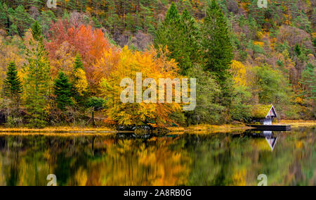 Autumn colours in Fana, Bergen, Norway Stock Photo