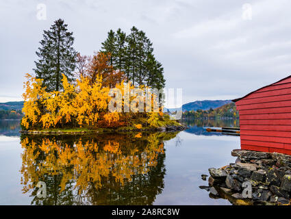 Autumn colours in Fana, Bergen, Norway Stock Photo