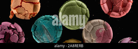 top view of smashed delicious French macaroons of different flavors isolated on black, panoramic shot Stock Photo