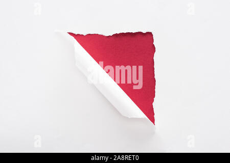 white torn and rolled paper on deep red background Stock Photo